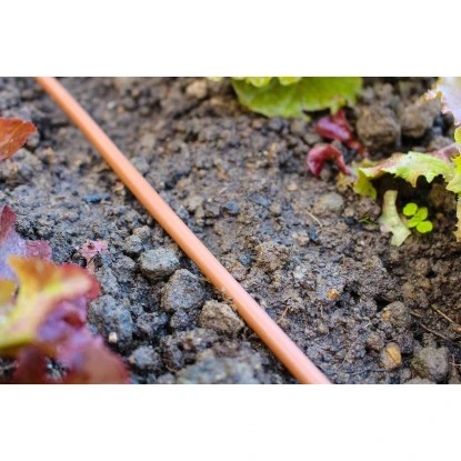 Vitavia Gewächshaus Jupiter 6700 ESG 3 Mm - Schwarz Vorzugsset 9 Vitavia Gewächshaus Jupiter 6700 ESG 3 Mm - Schwarz Vorzugsset – Bild 9