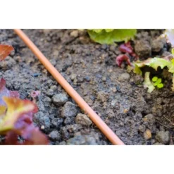 Vitavia Gewächshaus Olymp 9900 ESG 3 Mm - Smaragd Vorzugsset 23 Vitavia Gewächshaus Olymp 9900 ESG 3 Mm - Smaragd Vorzugsset -Vitavia Verkäufe 115174 2298 29