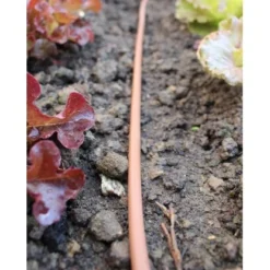 Vitavia Gewächshaus Triton 2500 HKP 4 Mm - Schwarz Vorzugsset -Vitavia Verkäufe 115315 2298 14 54