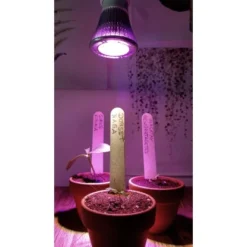 Parus By Venso LED-Pflanzenlampe Cultura 6 W E27 -Vitavia Verkäufe 1428861 4979 3