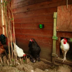 Gardigo Marder-Frei Mobil -Vitavia Verkäufe 302634 2272 12