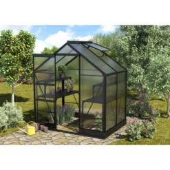 Vitavia Gewächshaus Apollo 2500 HKP 6 Mm - Schwarz Vorzugsset