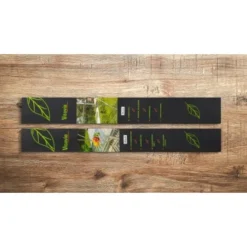 Vitavia Gewächshaus Playa 7600 HKP 6 Mm - Schwarz Vorzugsset -Vitavia Verkäufe 4005717254544 2298 08