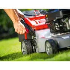 Benzin-Rasenmäher C-B-RM-46 B -Vitavia Verkäufe 4007872348687 40