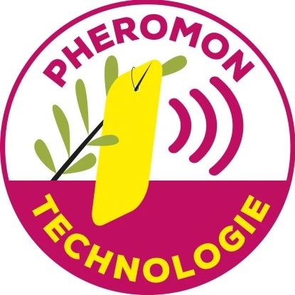 Solabiol Kirschfruchtfliegen-Falle 5 Stück 4 Solabiol Kirschfruchtfliegen-Falle 5 Stück – Bild 4