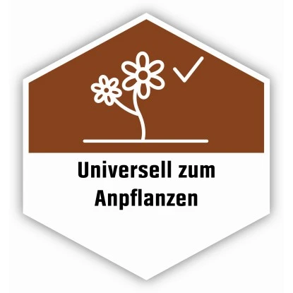 OBI Pflanzerde 1 X 60 L 10 OBI Pflanzerde 1 X 60 L – Bild 10