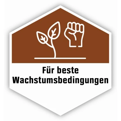 OBI Pflanzerde 1 X 60 L 11 OBI Pflanzerde 1 X 60 L – Bild 11