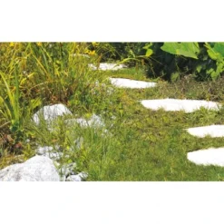 Einhell Akku-Gras- Und Strauchschere GC-CG 3,6 Li -Vitavia Verkäufe 508839 2171 7