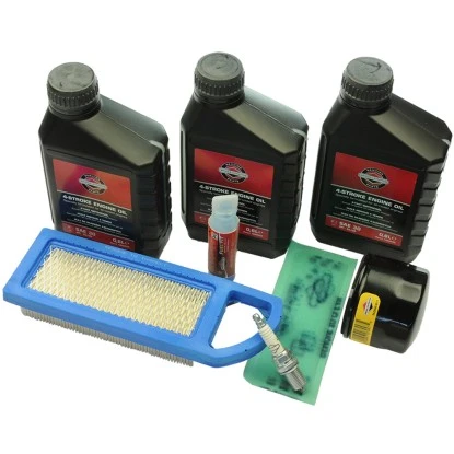 Wartungs-Kit Briggs & Stratton 1 Wartungs-Kit Briggs & Stratton