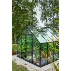 Halls Gewächshaus Universal 128 Blankglas 3mm Schwarz 9,9m² Inkl.Fundamentrahmen -Vitavia Verkäufe 5701701098802 3156 AB 05