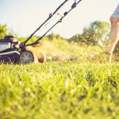 Aspen 4-Takt-Gemisch Sonderkraftstoff 25 L 5 Aspen 4-Takt-Gemisch Sonderkraftstoff 25 L – Bild 5