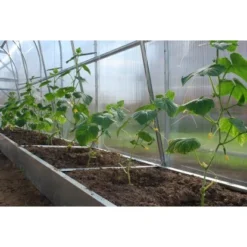 Westmann Gewächshaus Tunnel 4 M² Stahl Silber 200 Cm X 200 Cm 15 Westmann Gewächshaus Tunnel 4 M² Stahl Silber 200 Cm X 200 Cm -Vitavia Verkäufe 743279 1741 PD102788 07