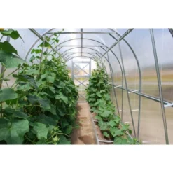 Westmann Gewächshaus Tunnel 4 M² Stahl Silber 200 Cm X 200 Cm 16 Westmann Gewächshaus Tunnel 4 M² Stahl Silber 200 Cm X 200 Cm -Vitavia Verkäufe 743279 1741 PD102788 08