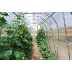 Westmann Gewächshaus Tunnel 12 M² Stahl Silber 200 Cm X 600 Cm -Vitavia Verkäufe 743366 1741 PD102791 08