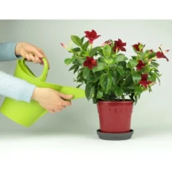 Nutri One Universal-Dünger 1 L Flüssigkonzentrat 14 Nutri One Universal-Dünger 1 L Flüssigkonzentrat -Vitavia Verkäufe 777015 4652 7