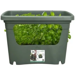 Elho Anzuchttopf Green Basics Laubgrün 35,7 Cm X 50,9 Cm X 35,1 Cm 10 Elho Anzuchttopf Green Basics Laubgrün 35,7 Cm X 50,9 Cm X 35,1 Cm -Vitavia Verkäufe 8711904494469 4667 04