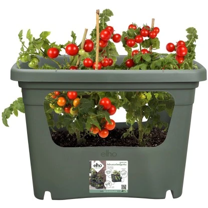 Elho Anzuchttopf Green Basics Laubgrün 35,7 Cm X 50,9 Cm X 35,1 Cm 5 Elho Anzuchttopf Green Basics Laubgrün 35,7 Cm X 50,9 Cm X 35,1 Cm – Bild 5