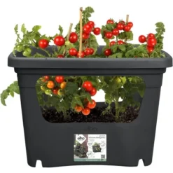 Elho Anzuchttopf Green Basics Living Schwarz 35,7 Cm X 50,9 Cm X 35,1 Cm -Vitavia Verkäufe 8711904494490 4667 05