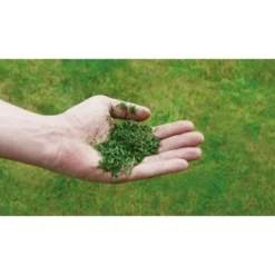 Einhell Benzin-Rasenmäher GC-PM 56/2 S HW -Vitavia Verkäufe 978003 2171 08