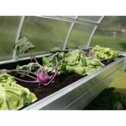 KGT Pflanzwanne Tulpe III Alu Blank Tiefe 63,5 Cm X Höhe 10 Cm -Vitavia Verkäufe Blank Tiefe x Hoehe 10cm 3