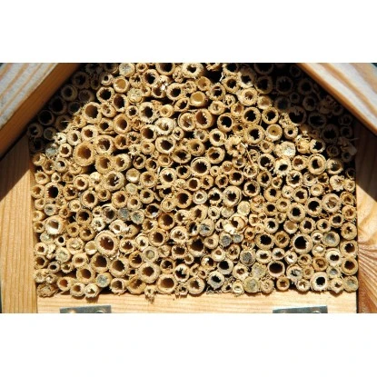 Insektenhotel Für Marienkäfer Und Florfliegen U.a. 4 Insektenhotel Für Marienkäfer Und Florfliegen U.a. – Bild 4