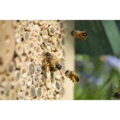 Insektenhotel Für Wildbienen Und Grabwespen Zum Stellen 9 Insektenhotel Für Wildbienen Und Grabwespen Zum Stellen -Vitavia Verkäufe insektenhotelbienenhaus 5